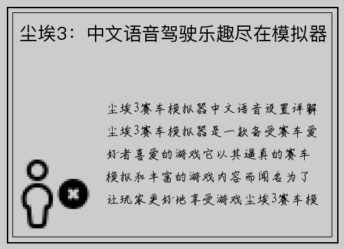 尘埃3：中文语音驾驶乐趣尽在模拟器